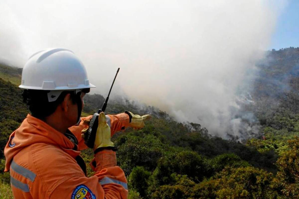 Al menos 850 hectáreas se han quemado en cuatro días