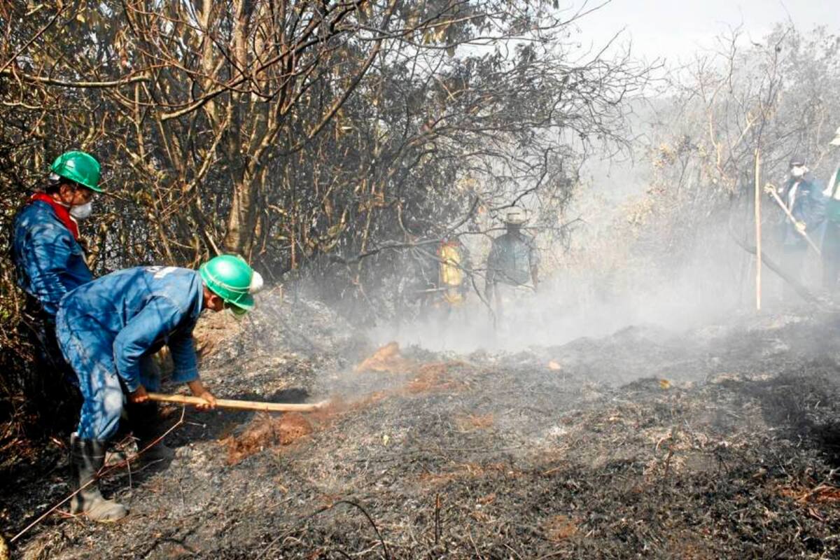 Al menos 850 hectáreas se han quemado en cuatro días