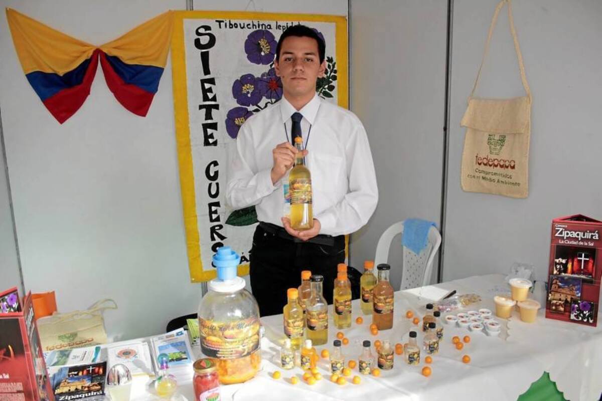 Los poderes de la uchuva Plantel: Liceo Integrado. Ciudad: Zipaquirá. Estudiante: Germán Sánchez Espinel. (Foto: Javier Gutiérrez / VANGUARDIA LIBERAL)