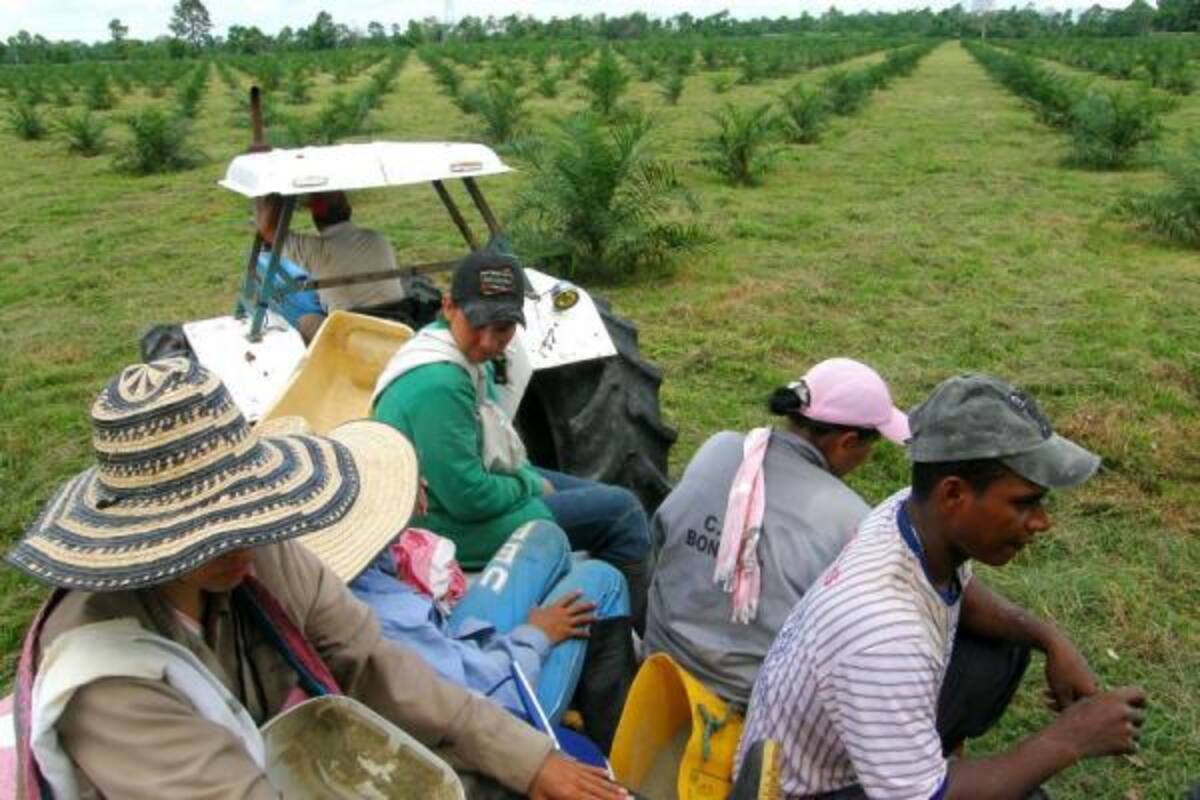 La asociatividad campesina tendrá un mayor respaldo crediticio en 2011.(Foto: Archivo/VANGUARDIA LIBERAL)