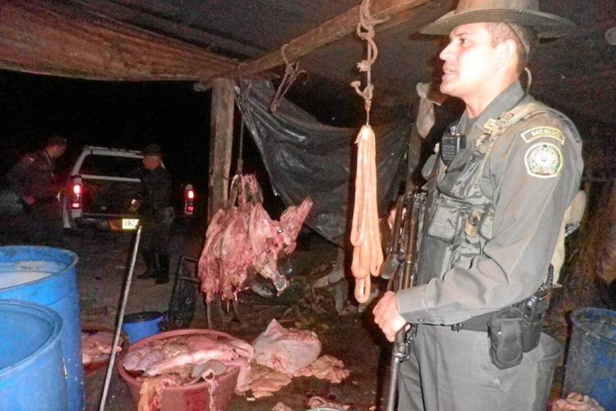 En este matadero clandestino, ubicado en la vereda Betania, en Lebrija, la Policía incautó 600 kilos de carne que estaban listos para ser comercializados en el área metropolitana. (Foto: Suministrada/VANGUARDIA LIBERAL)