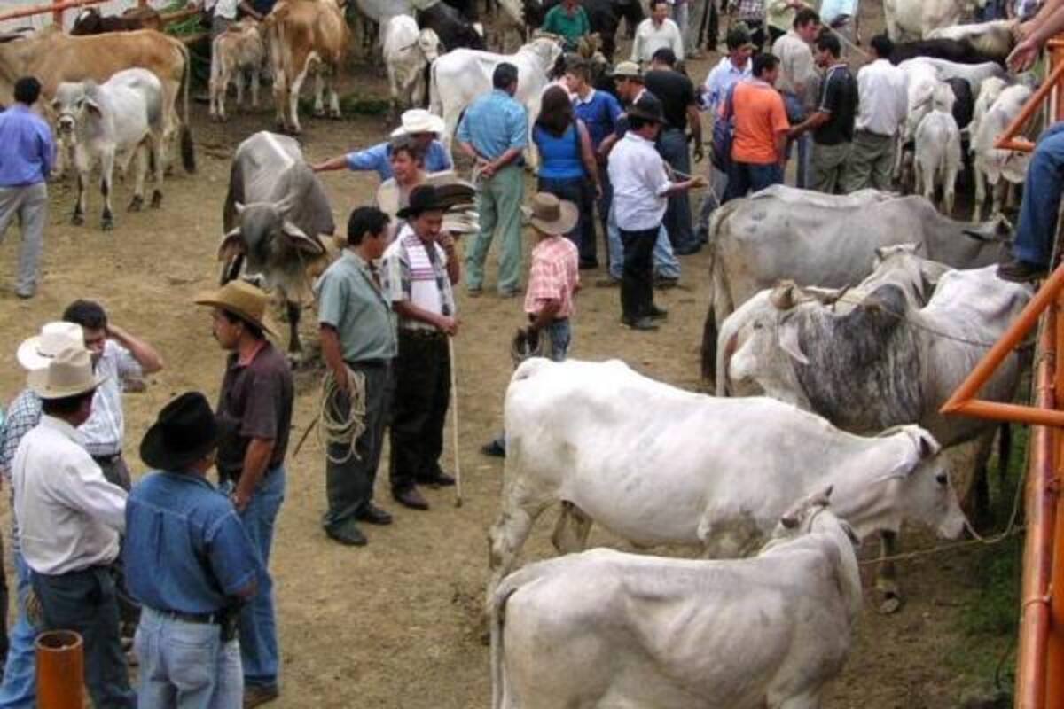 La construcción del Nuevo Coliseo de Ferias a donde se trasladará la 'Feria del amarrado', se encuentra paralizada por causa del invierno y porque no ha llegado de maquinaria.(Foto: Archivo/VANGUARDIA LIBERAL)