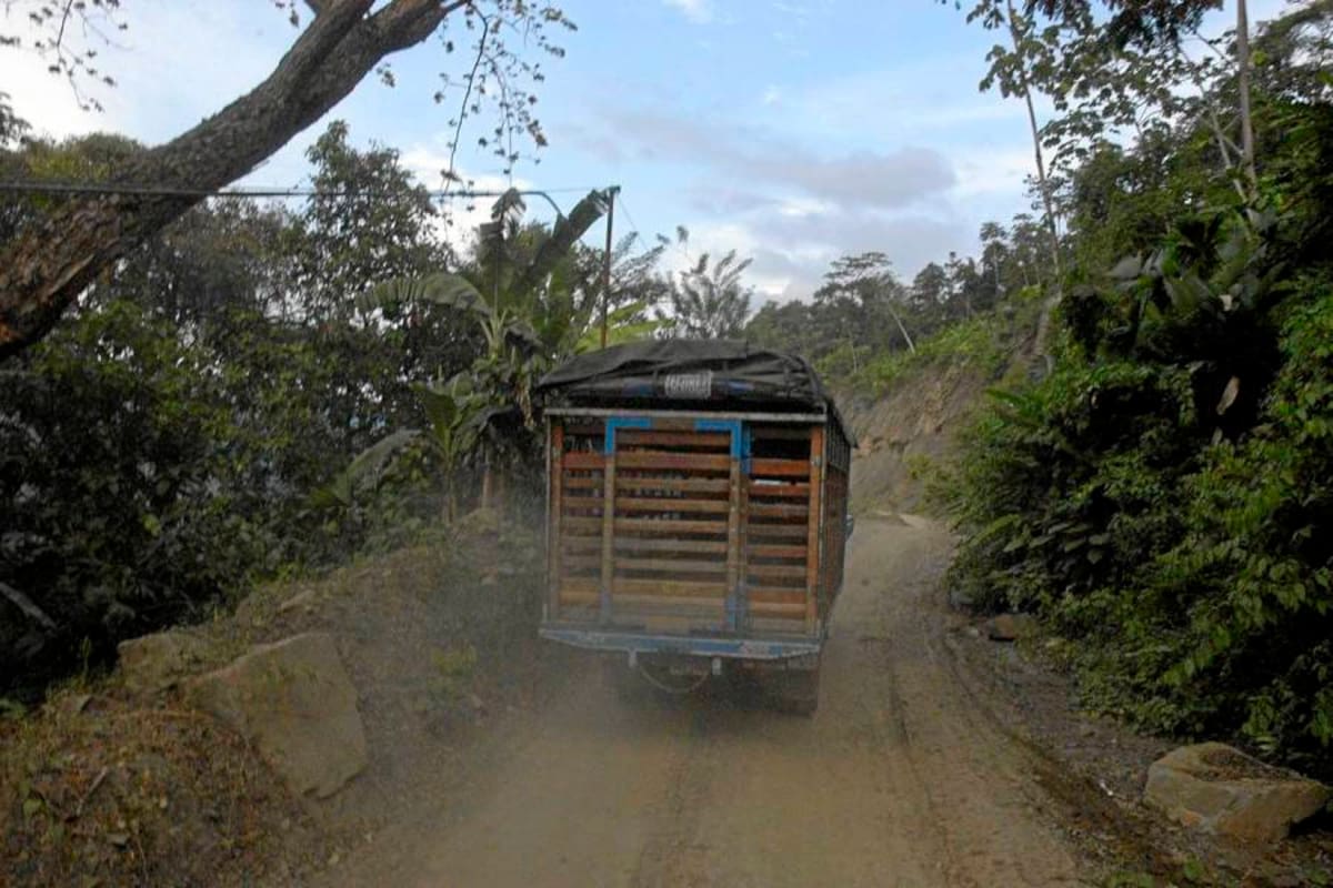 Alcalde advierte sobre mal estado de malla vial en San Vicente de Chucurí (Foto: Suministrada /VANGUARDIA LIBERAL)