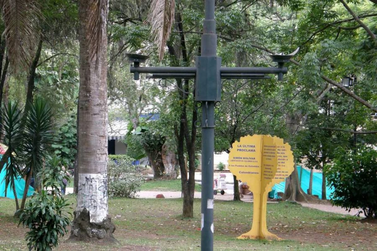 El Parque San Pío, referente cultural de Cabecera, enfrenta vandalismo, inseguridad y deterioro que la comunidad ya no está dispuesta a tolerar.