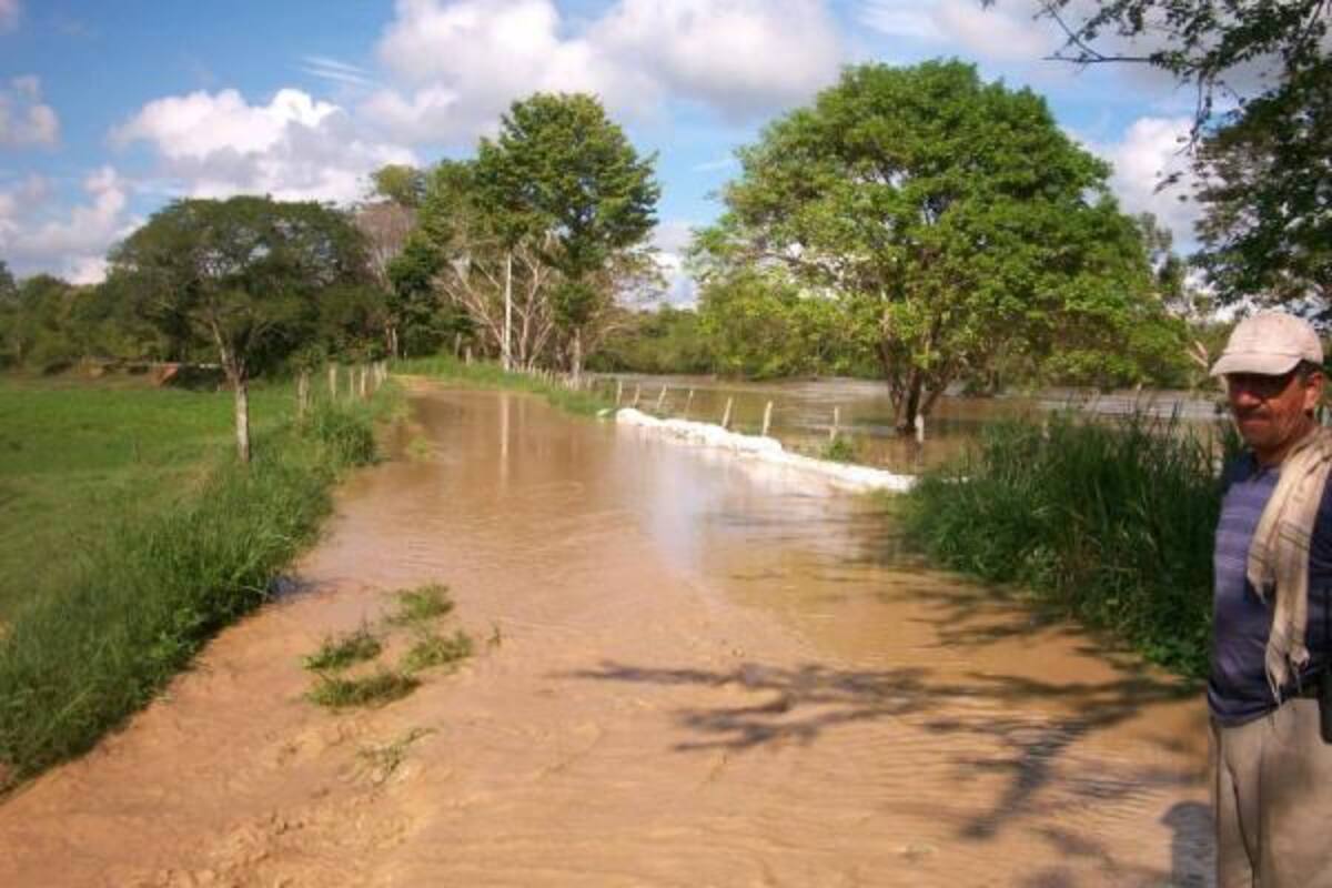 Los diques de contención del Lebrija en Sabana de Torres deben ser reforzados, ya que cuando el río crece son superados. La amenaza es diaria sobre esta vasta zona agropecuaria de Santander.(Foto: Suministrada Alain Gómez/VANGUARDIA LIBERAL )