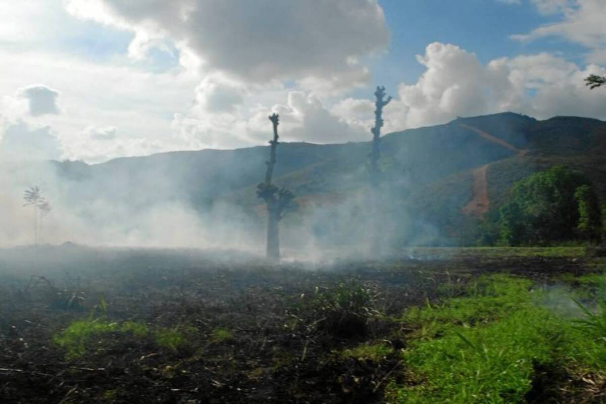 Denuncian contaminación en Piedecuesta (Foto: Suministrada /VANGUARDIA LIBERAL)