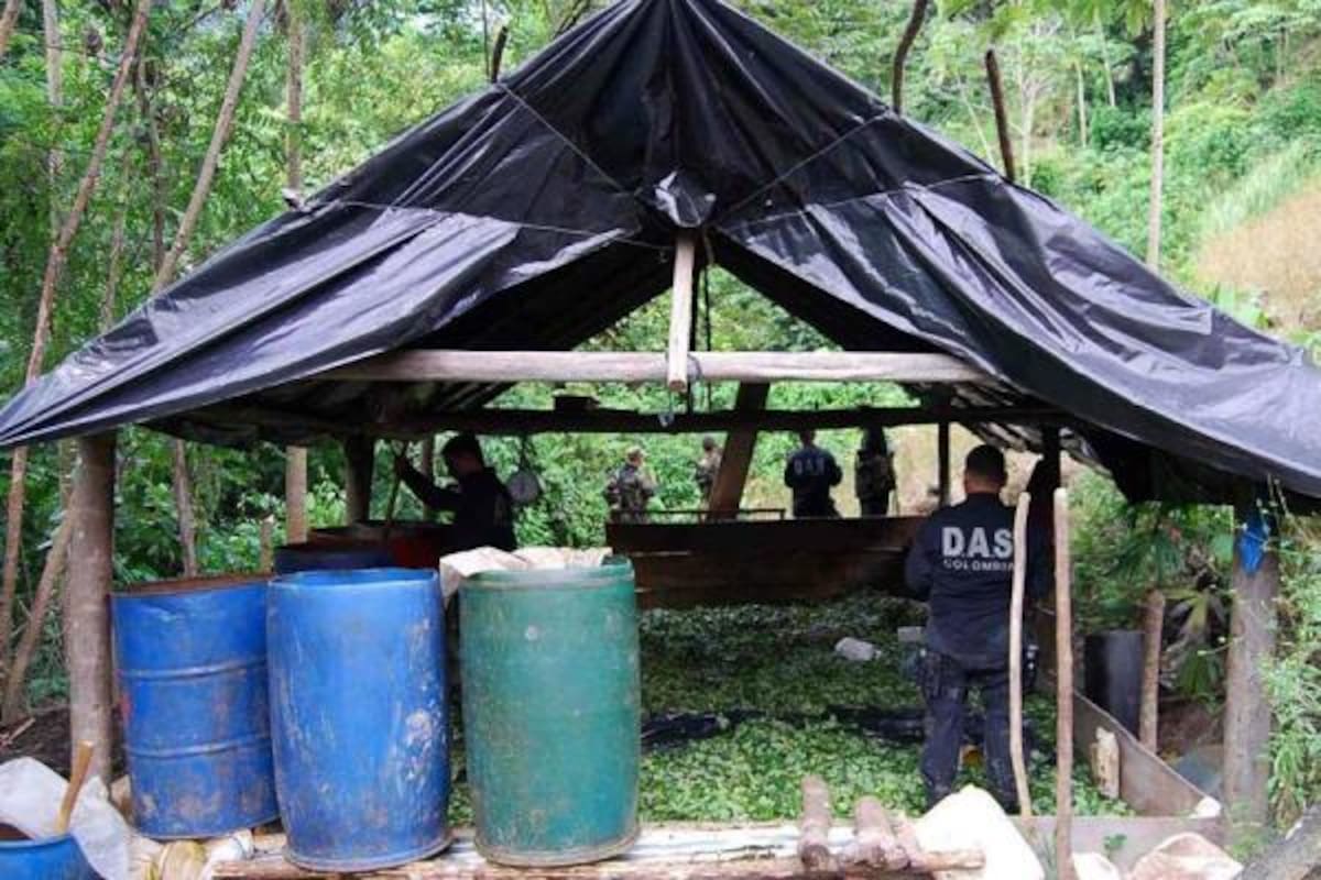 En 38 operativos que la Policía Antinarcóticos ejecutó en todo el país contra la droga de las Farc, logró la incautación de 39 toneladas de marihuana. De estas, 5 toneladas fueron decomisadas en Lejanías, Meta, el 5 de agosto de 2010. (Foto: Colprensa/VANGUARDIA LIBERAL)