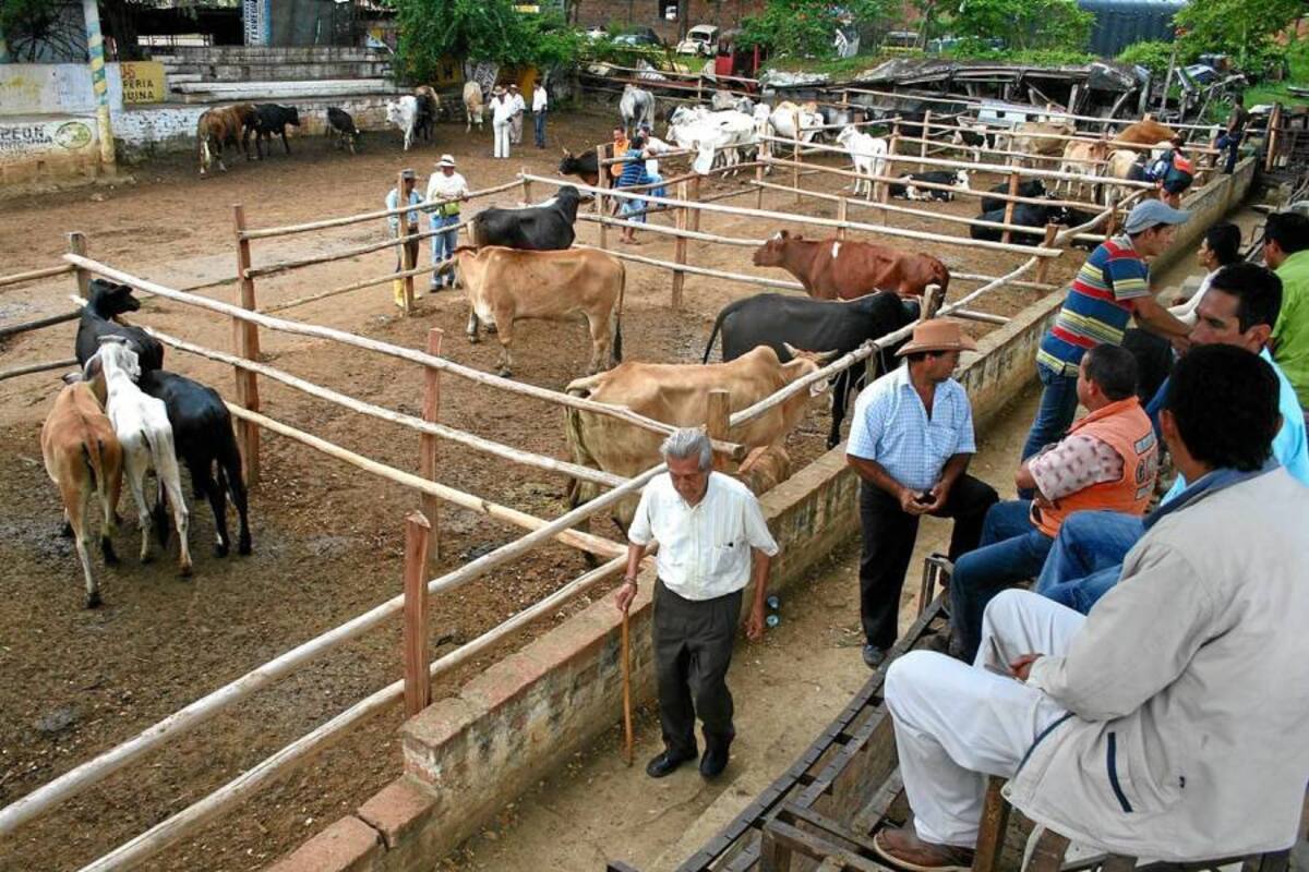 Galisan reportó que ya están listos los primeros 1.500 millones de pesos para la construcción de la primera fase del Coliseo de Ferias. (Foto: Archivo/ VANGUARDIA LIBERAL)