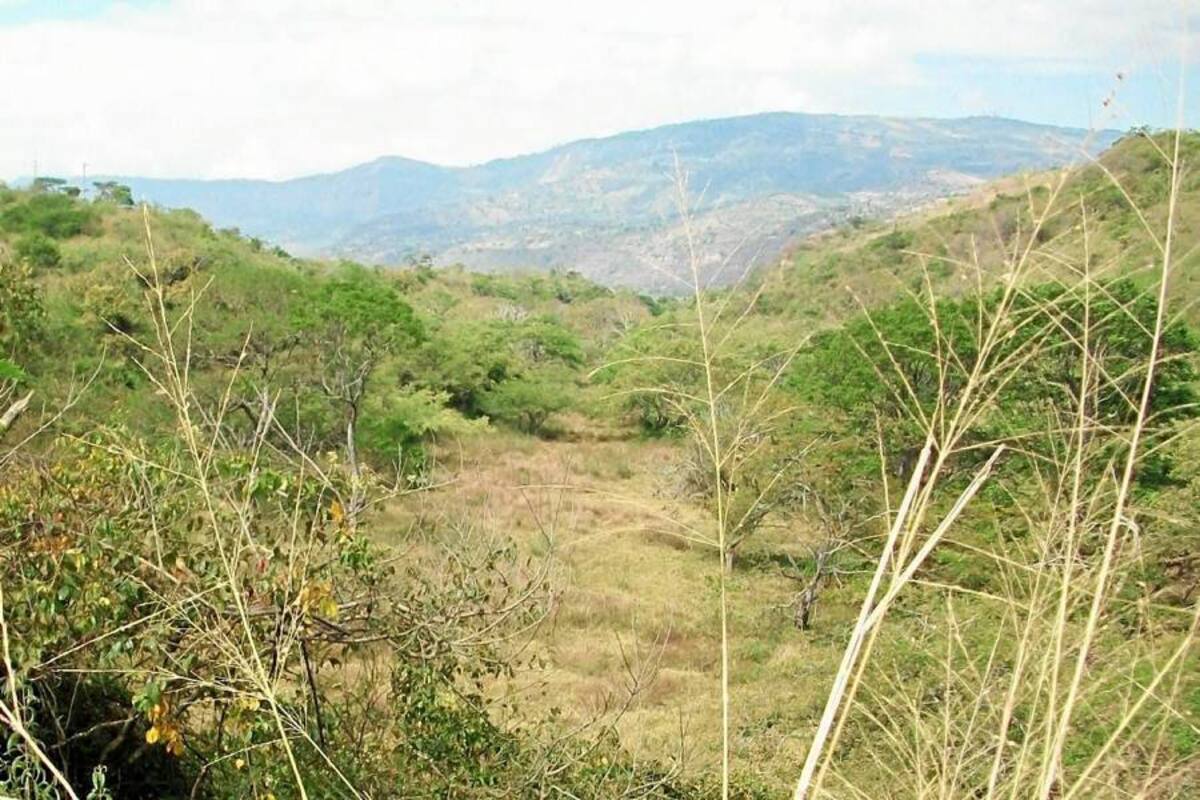 Este es el predio donde el Seminario Conciliar San Carlos proyecta construir un parque cementerio. Al sitio acudió personal de la Cas para realizar una inspección técnica y determinar la viabilidad del proyecto. (Foto: Suministrada /VANGUARDIA LIBERAL)