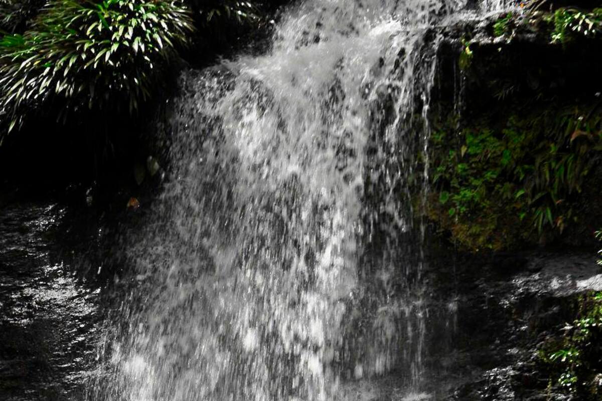 Imponentes cascadas de Chagüatá, ubicadas en el municipio de Oiba, un paradisíaco lugar que vale la pena visitar y disfrutar de sus refrescantes y cristalinas aguas, lugar frecuentado por caminantes y amantes de la naturaleza. (Foto: Luis Fernando Martínez Vargas/VANGUARDIA LIBERAL)