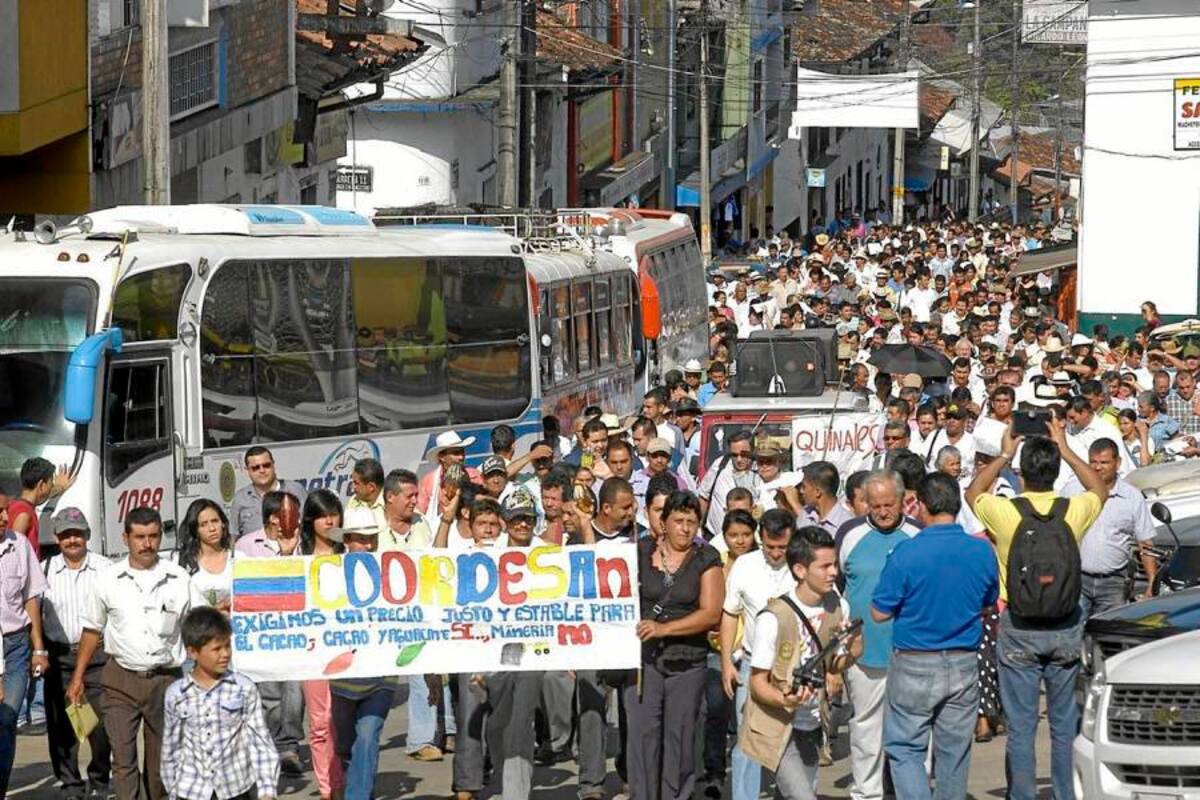 Los cacaoteros llevan once meses solicitándole ayuda al Gobierno Nacional para salir de la crisis. (Foto: Edgar Pernett/VANGUARDIA LIBERAL)
