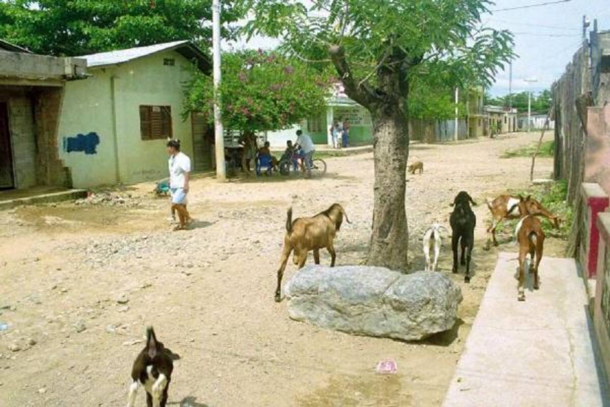 El programa de créditos a pequeños productores de Morales, Sur de Bolívar, será impulsado por la Gobernación de Bolívar y el Banco Agrario. (Foto: Archivo/VANGUARDIA LIBERAL)