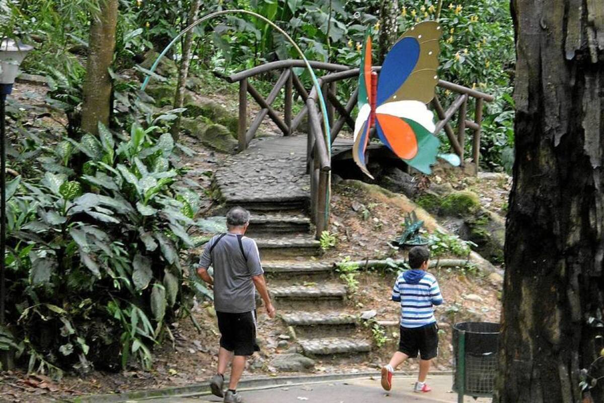 A este parque acuden diaramente desde los niños hasta las personas de la tercera edad para caminar y hacer ejercicio, además de apreciar su belleza vegetal. (Foto: Archivo/VANGUARDIA LIBERAL)