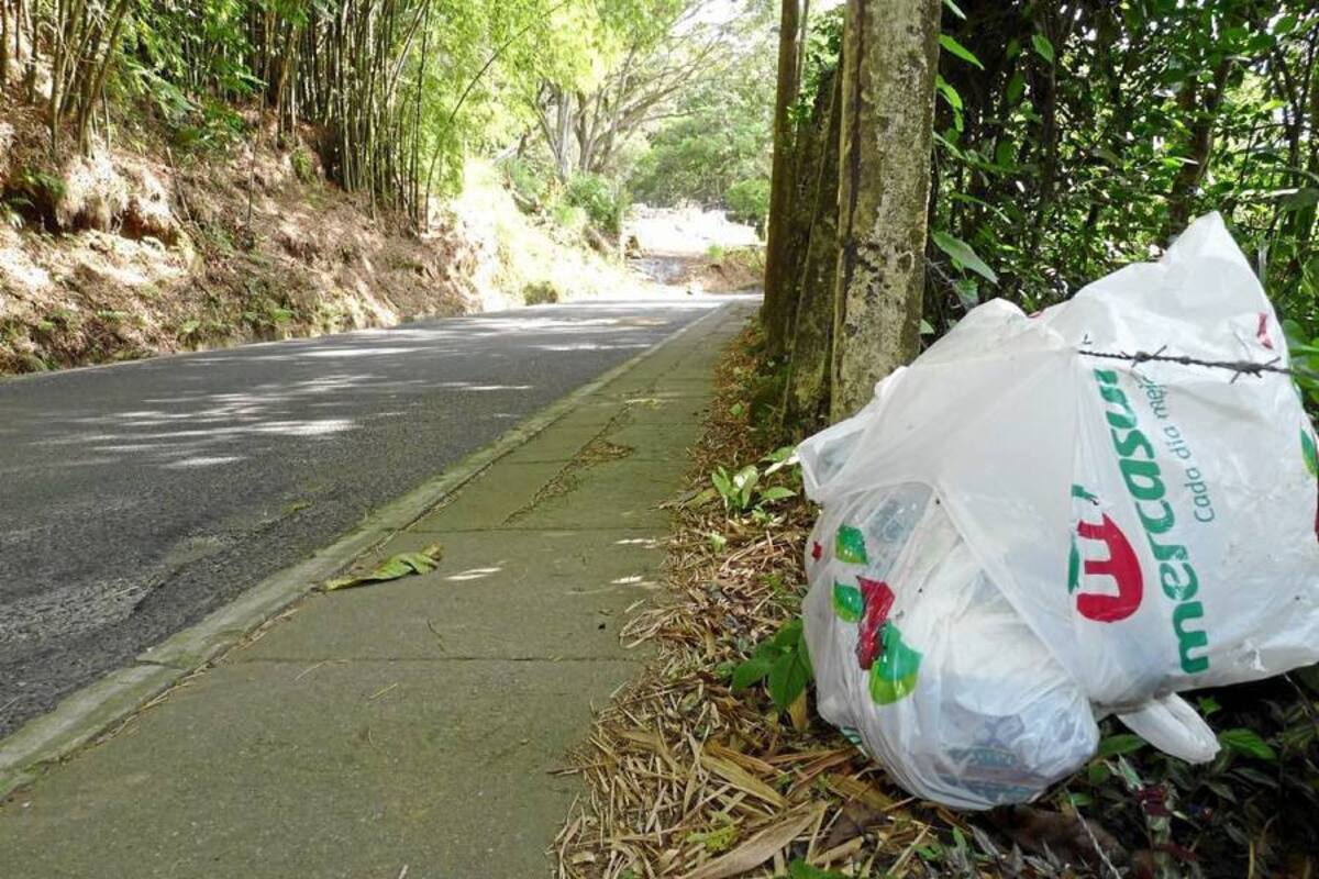 El desaseo ‘reina’ en varios tramos de la vía a Lagos del Cacique. (Foto: Nelson Díaz / VANGUARDIA LIBERAL)