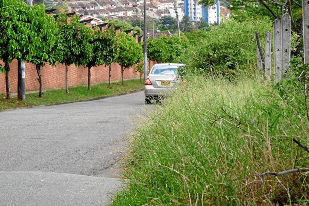La maleza devoró a los andenes. (Foto: Nelson Díaz / VANGUARDIA LIBERAL)