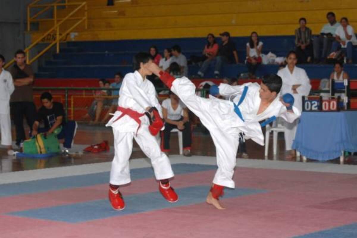 Con la intención de foguearse, adquirir ritmo de competencia y buscar clasificar a los diferentes eventos nacionales e internacionales del presente año, la selección Santander de Karate do viajó a Manizales para competir en el Campeonato Nacional Interclubes.(Foto: Archivo / VANGUARDIA LIBERAL)