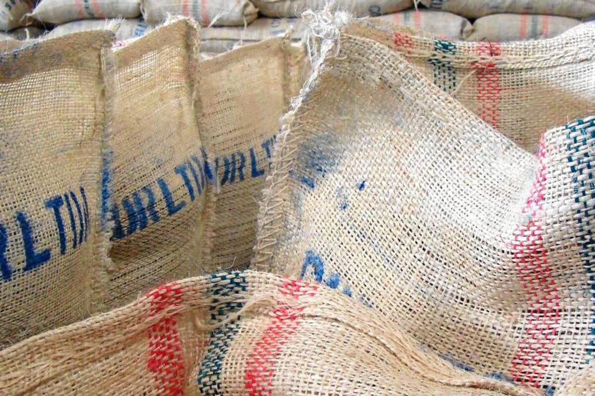 Precio del cacao cae 26,34% en enero frente al mismo mes de 2011 (Foto: Archivo/VANGUARDIA LIBERAL)