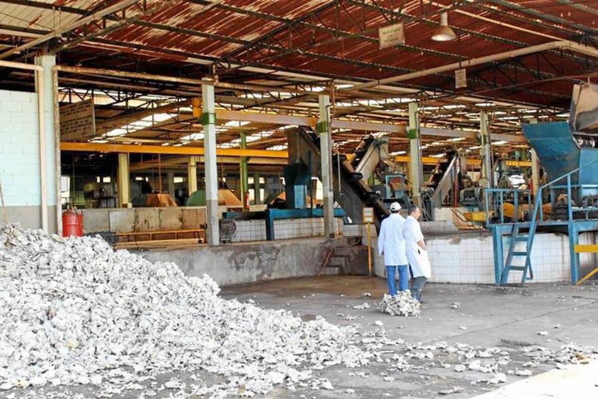 En el país, en promedio, se producen 1,1 toneladas de caucho seco por hectárea. La planta tendrá tecnología similar a las asiáticas. (Foto: Archivo/VANGUARDIA LIBERAL)