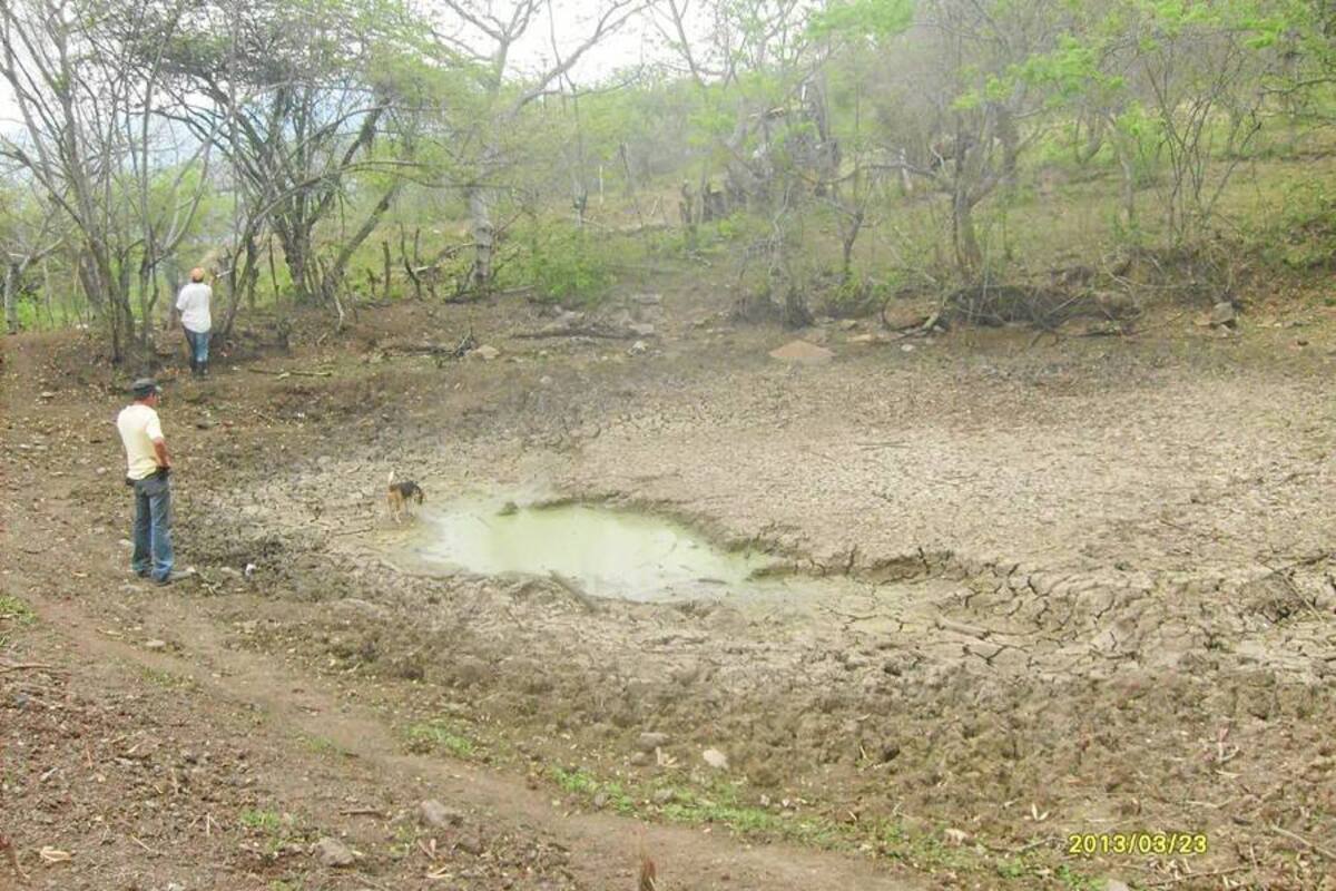 Aspectos de la situación de sequia que se vive en el municipio de Cabrera, afectando pastos para el ganado y cultivos. La comunidad se abastece del agua a través de carrotanques. (Foto: Suministrada Alcaldía Cabrera / VANGUARDIA LIBERAL)