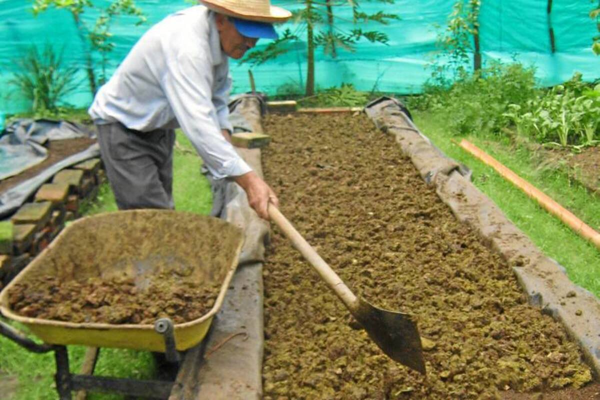Anuncian desarrollo rural en proyectos productivos en Piedecuesta (Foto: Archivo/ VANGUARDIA LIBERAL)