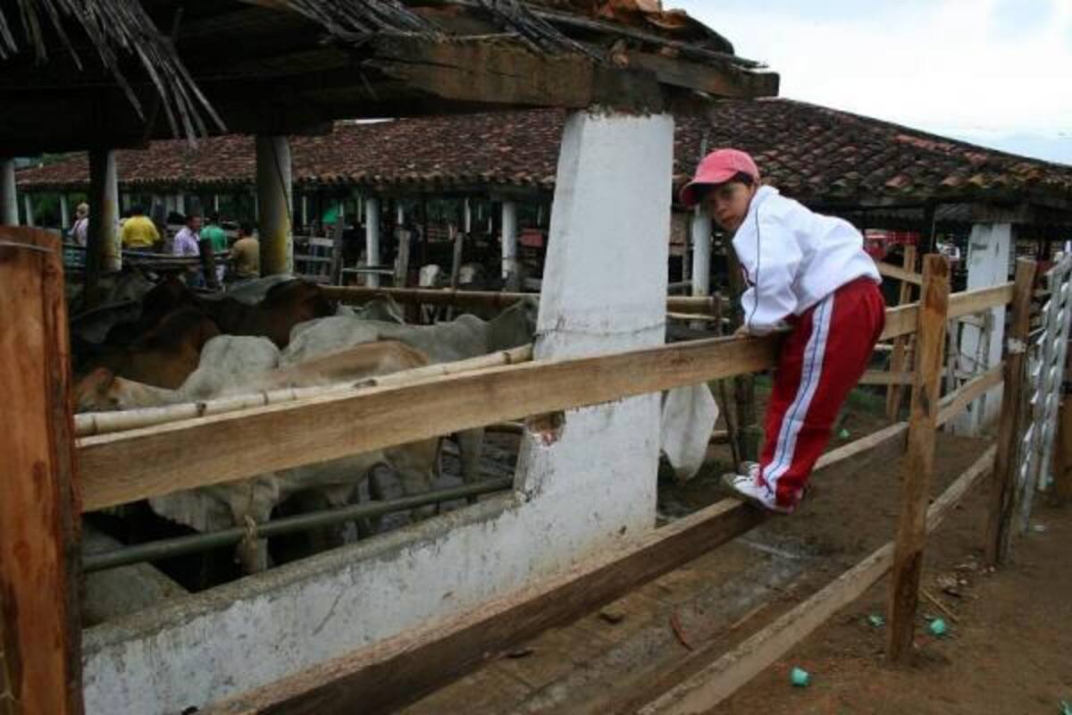 El Municipio avaló un terreno propio para la construcción del moderno coliseo de ferias de Piedecuesta en un área de dos hectáreas.(Foto: Archivo/ VANGUARDIA LIBERAL )