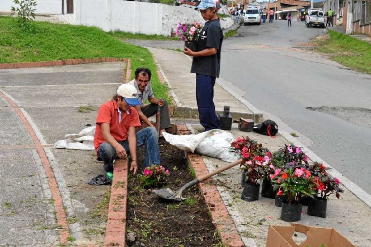Jornada de siembra de árboles ornamentales en las jardineras de algunas calles de Barbosa, desarrollada por el grupo JETS y habitantes de calle. (Foto: Luis Fernando Martínez Vargas /VANGUARDIA LIBERAL)