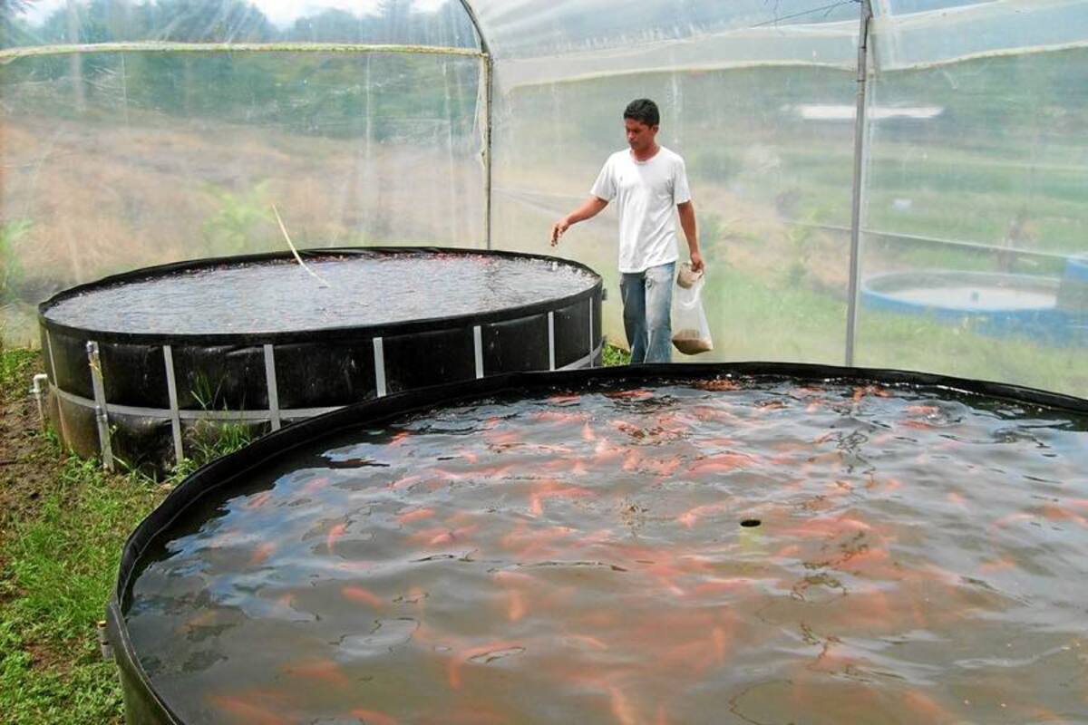 La Administración Local suscribió un convenio para el desarrollo acuícola y piscícola de Barrancabermeja. (Foto: Archivo/VANGUARDIA LIBERAL)