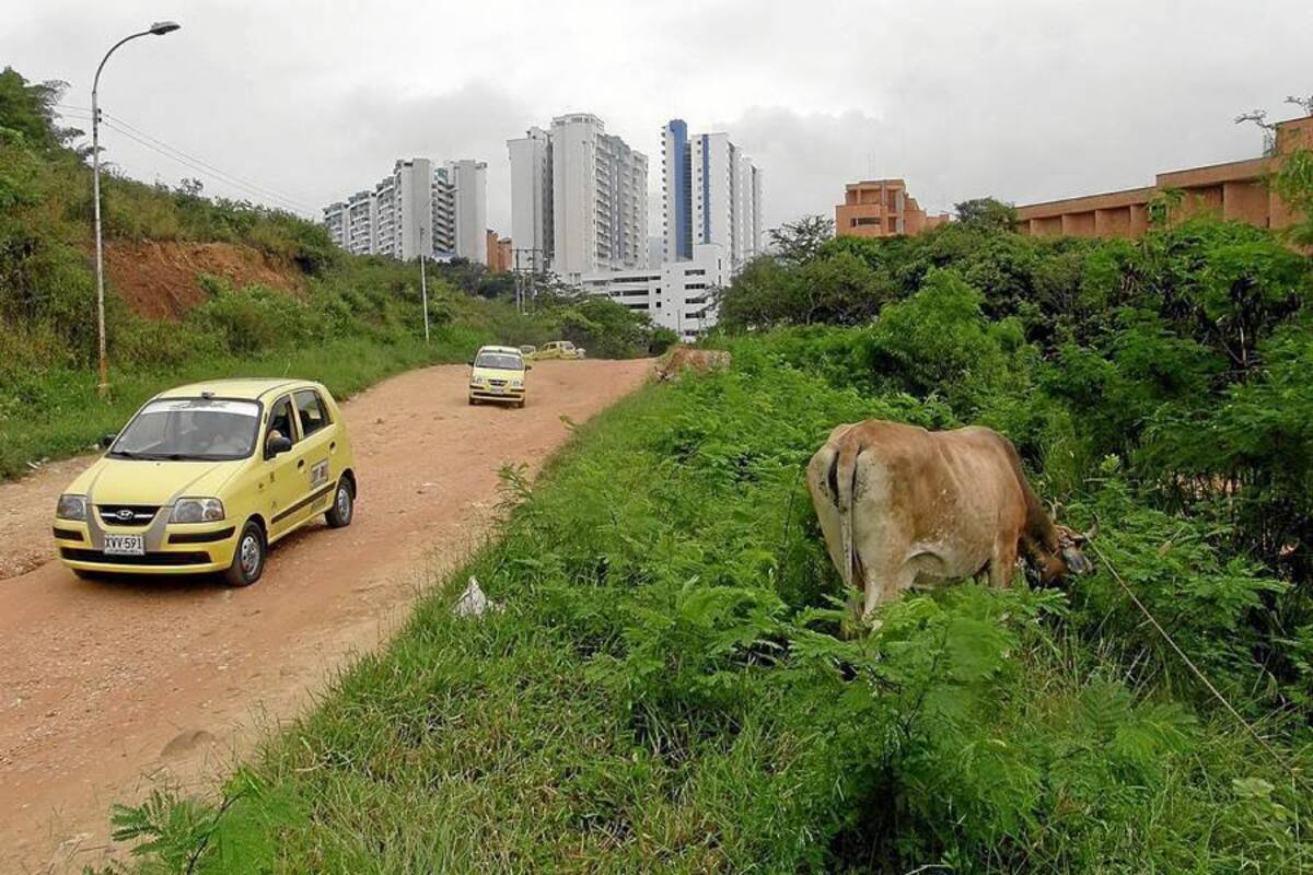 AMB abre la licitación de la Transversal de El Bosque