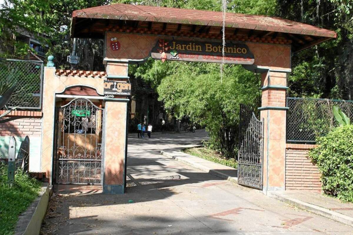 En el Jardín Botánico se realizó la construcción de nuevos senderos peatonales para el disfrute de visitantes. (Foto: Suministrada/VANGUARDIA LIBERAL)