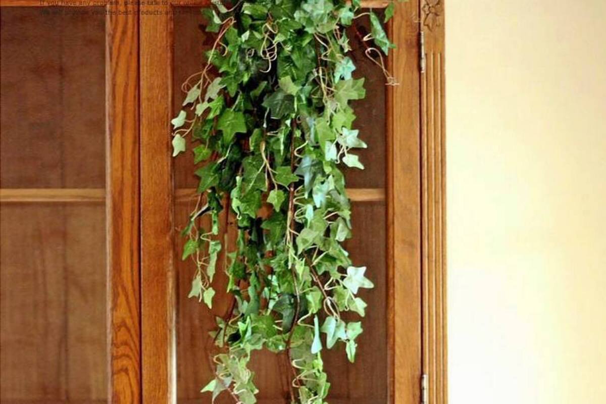 ¡Abra sus puertas al verde!