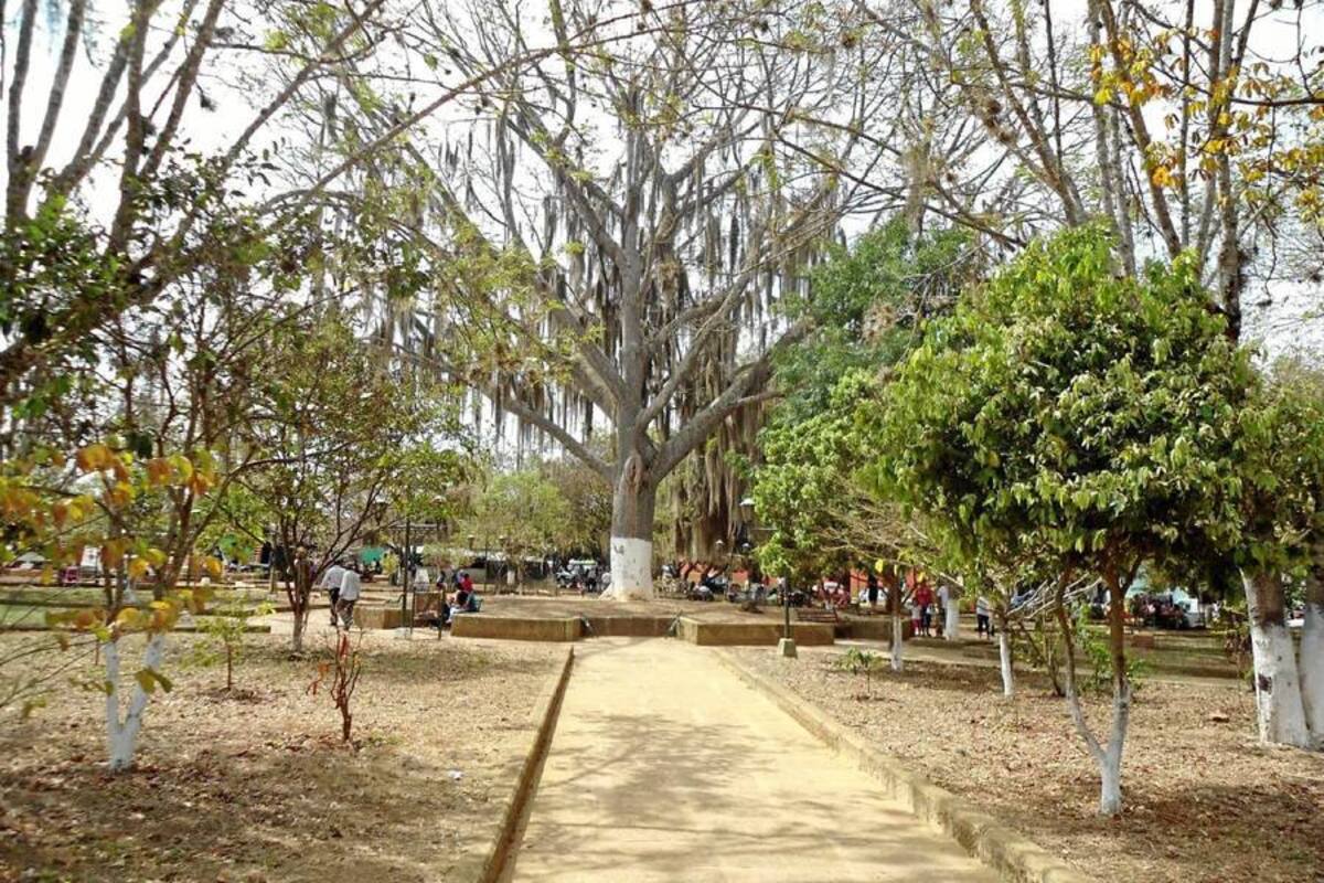 Del 17 al 20 de agosto los villanuevas celebrarán las bodas de plata de su Festival folclórico, Cultura y del Retorno que incluye festival de danza santandereana, concurso de talladores de piedra, Concurso de bandas marciales, artistas, reinas, comparsas y mucho más. (Foto: Nancy Acuña R./VANGUARDIA LIBERAL)