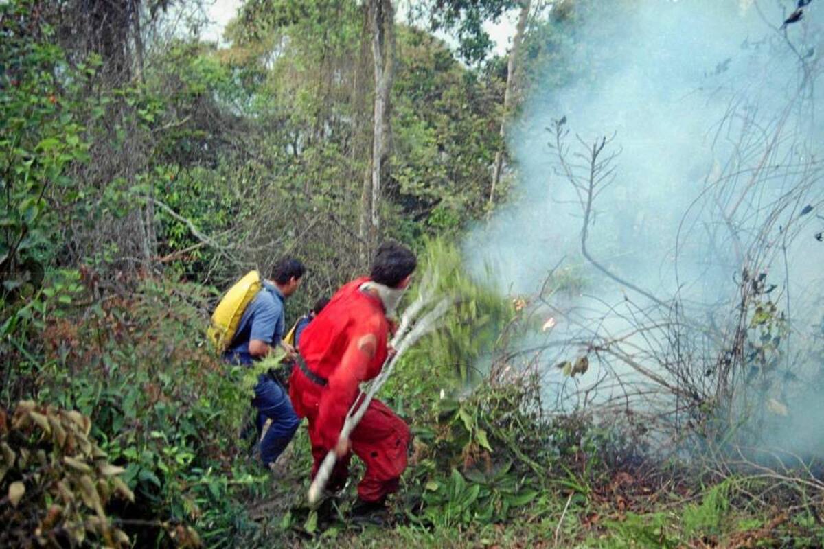 Las autoridades ambientales crearon un grupo élite de atención y apoyo a los organismos de socorro para contrarrestar incendios forestales en Piedecuesta y el Área Metropolitana. (Foto: Archivo/ VANGUARDIA LIBERAL )
