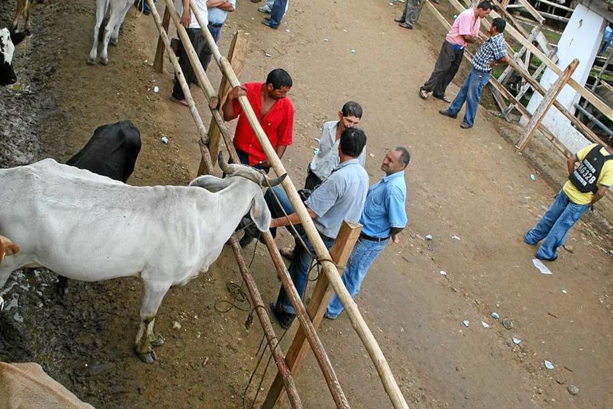 La construcción de la primera fase del Coliseo de Ferias ya cuenta con mil millones de pesos. (Foto: Archivo/VANGUARDIA LIBERAL)