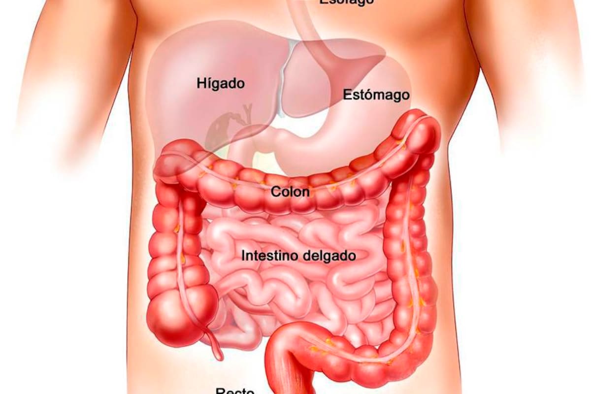 Muchos de los factores que desencadenan la enfermedad de colon irritable se relacionan con las emociones: el estrés, la tristeza y las preocupaciones. (Foto: Tomada de Internet / VANGUARDIA LIBERAL)