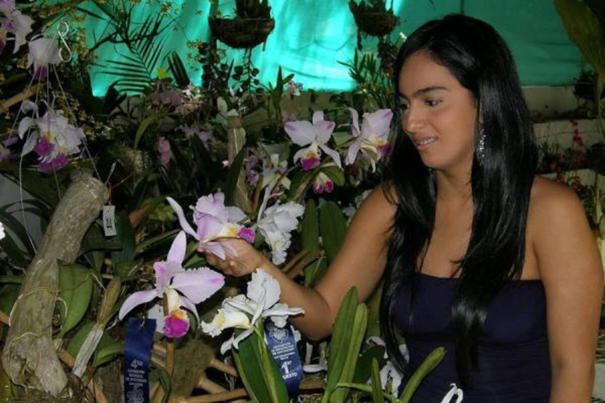 Hermosas especies de orquídeas se exhiben en el Parque de La Flora. En la foto se aprecia a la joven Andrea Pacheco, quien promociona una de las orquídeas ganadoras: la Cattleya Mendelli.(Foto: Fotografìa: Javier Gutièrrez / VANGUARDIA LIBERAL)