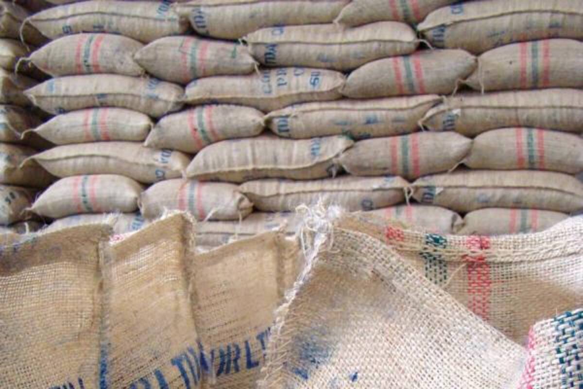 Según la Icco, la tonelada de cacao se tasó ayer a US$3016,48.(Foto: Archivo/VANGUARDIA LIBERAL)