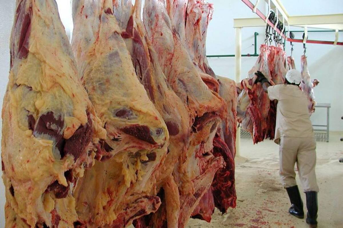 Fedegán viaja a Rusia a concretar negocios de carne (Foto: Archivo/VANGUARDIA LIBERAL)