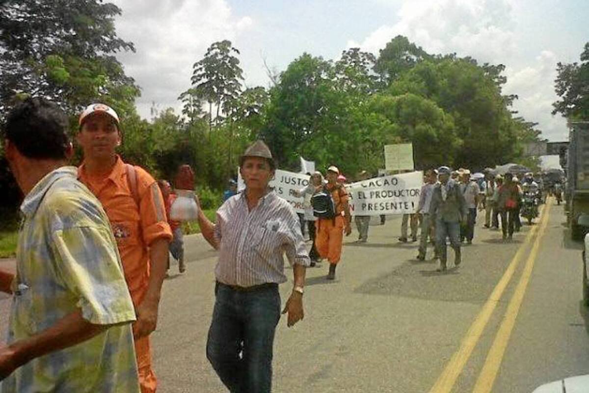 Según el vocero de los cacaoteros en Santander, en esa población hay cerca de 2 mil productores procedentes de las zonas productoras de San Vicente, Landázuri, Betulia, Lebrija y el Carmen de Chucurí. (Foto: Suministrada/VANGUARDIA LIBERAL)