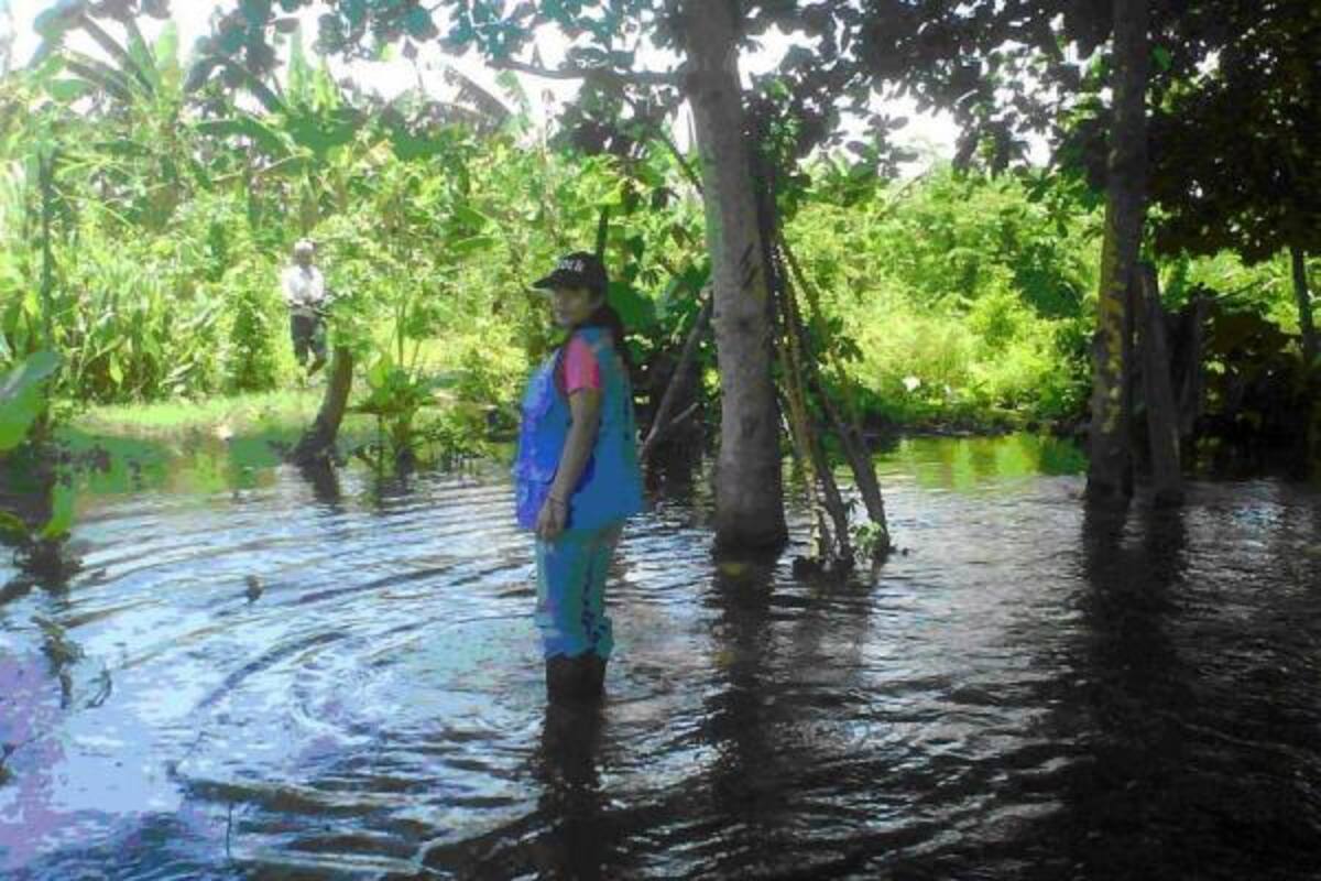 La medida favorecerá a 28 mil agricultores morosos, a quienes se les suspenderá las acciones judiciales de cobro. (Foto: Archivo/VANGUARDIA LIBERAL)