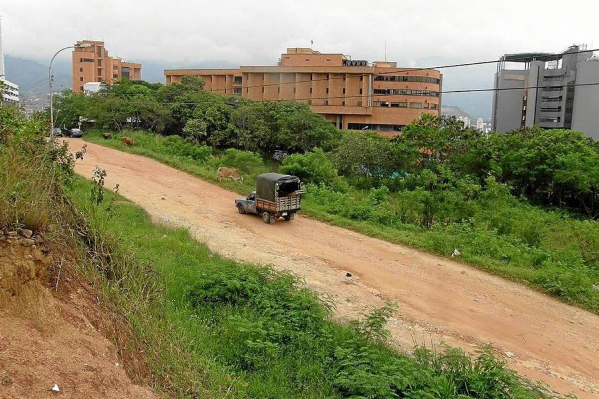 La directora del Área Metropolitana, Consuelo Ordóñez de Rincón, indicó que se buscará adelantar el primer tramo en el menor tiempo posible para evitar mayores traumatismos en el sector. (Foto: Archivo/VANGUARDIA LIBERAL)