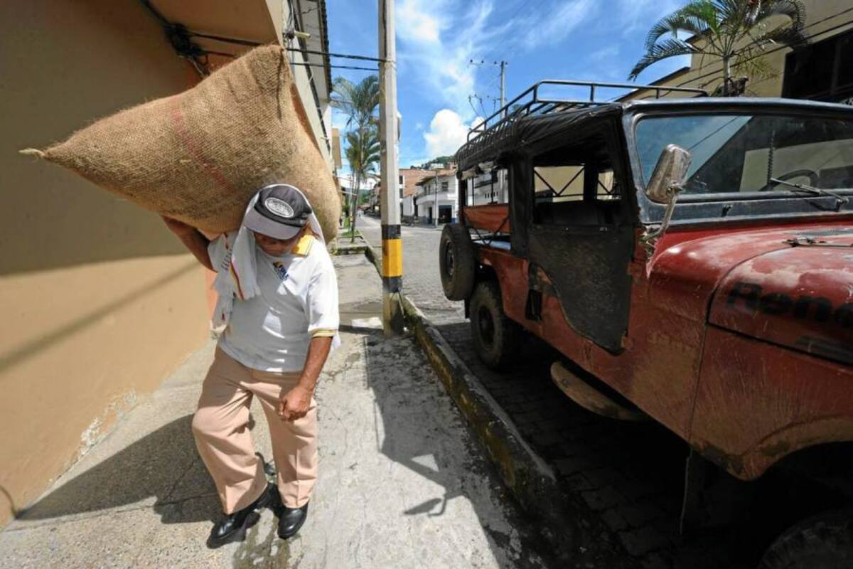 La recolección de café es una época en la que llega mucha gente a Pinchote, por eso el Alcalde pide a las autoridades que realicen mayor control. (Foto: Archivo/VANGUARDIA LIBERAL )
