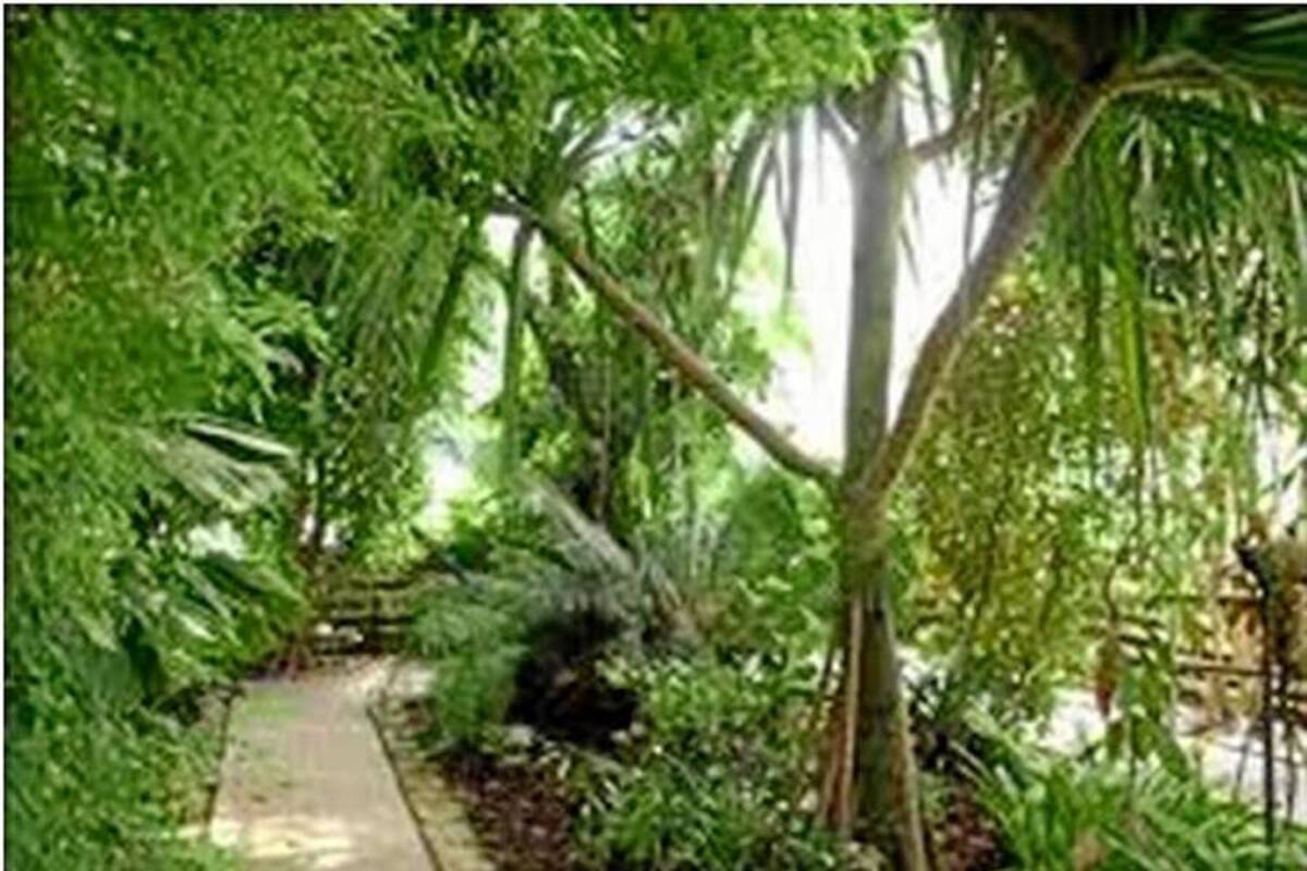 La población en condición de discapacidad de San Gil tiene dentro de sus proyectos la creación de un Jardín botánico. (Foto: Suministrada /VANGUARDIA LIBERAL)