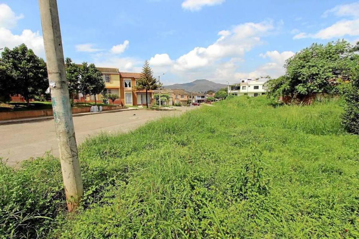 La comunidad del barrio Suratoque, solicita la presencia de funcionarios de salud pública para el retiro de caracoles que podrían ser peligrosos, así como la poda de este lote por parte de la PDS. (Foto: Mauricio Betancourt/ VANGUARDIA LIBERAL )