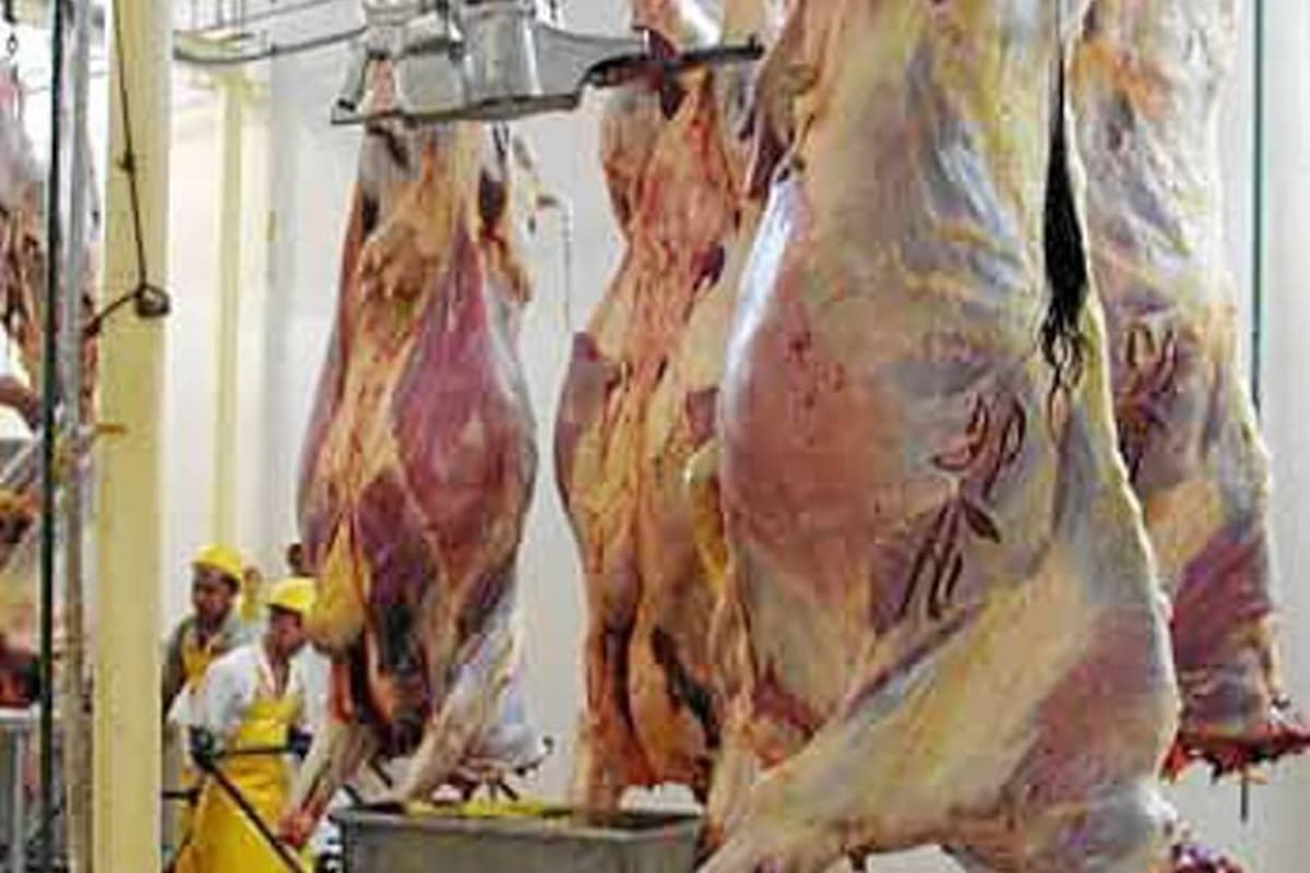 La adaptación del matadero de Landázuri beneficiaría no solo al municipio sino a otras regiones. (Foto: Archivo /VANGUARDIA LIBERAL)