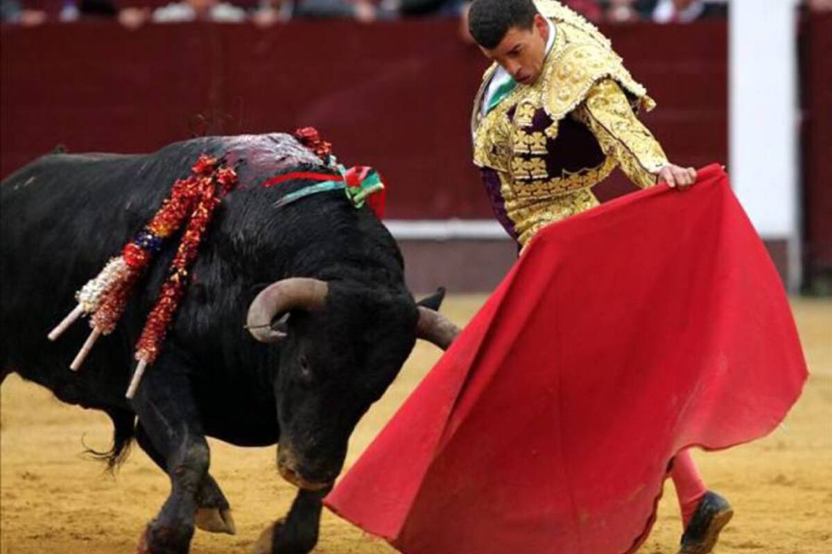 Mario Blanco "sale al ruedo", esta vez como empresario (Foto: Fotos: Jaime Del Río Quiroga / VANGUARDIA LIBERAL )