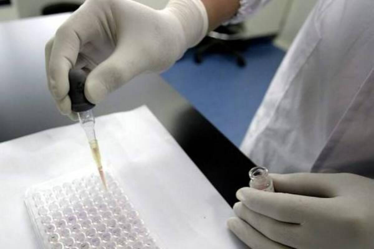 Estados Unidos dio un paso importante en la investigación con células madre de embriones humanos al iniciar el primer ensayo clínico con un paciente. El primer trasplante de células madre de cordón umbilical se realizó hace aproximadamente 22 años en París. Por fortuna, en Bucaramanga ya existen compañías que ofrecen el servicio de recolección y procesamiento de dichas células.