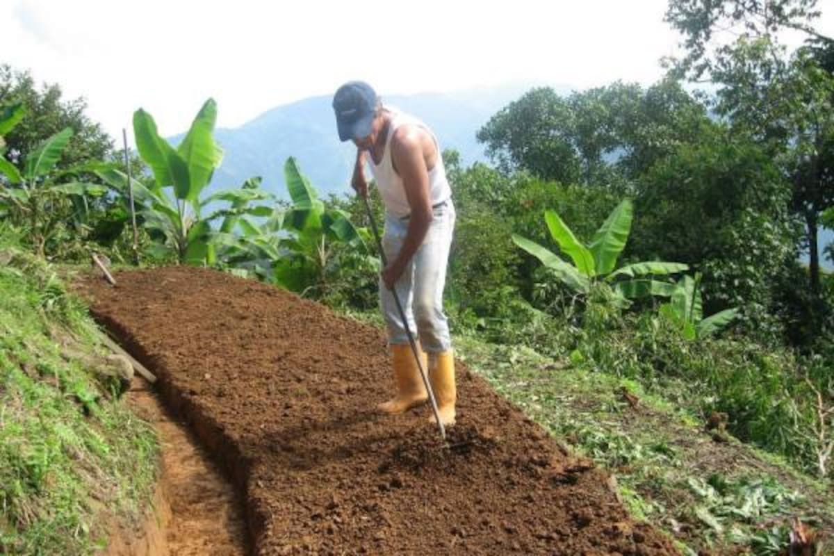 Resoluciones de adjudicación de tierras serán miradas con lupa para detectar su ilegalidad. (Foto: Archivo/VANGUARDIA LIBERAL)
