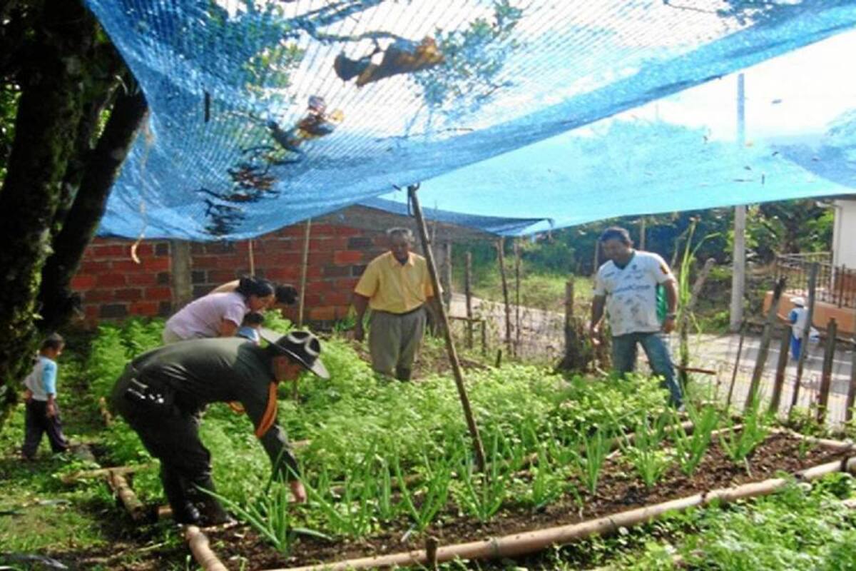 Continúan ejecutándose Proyectos Productivos