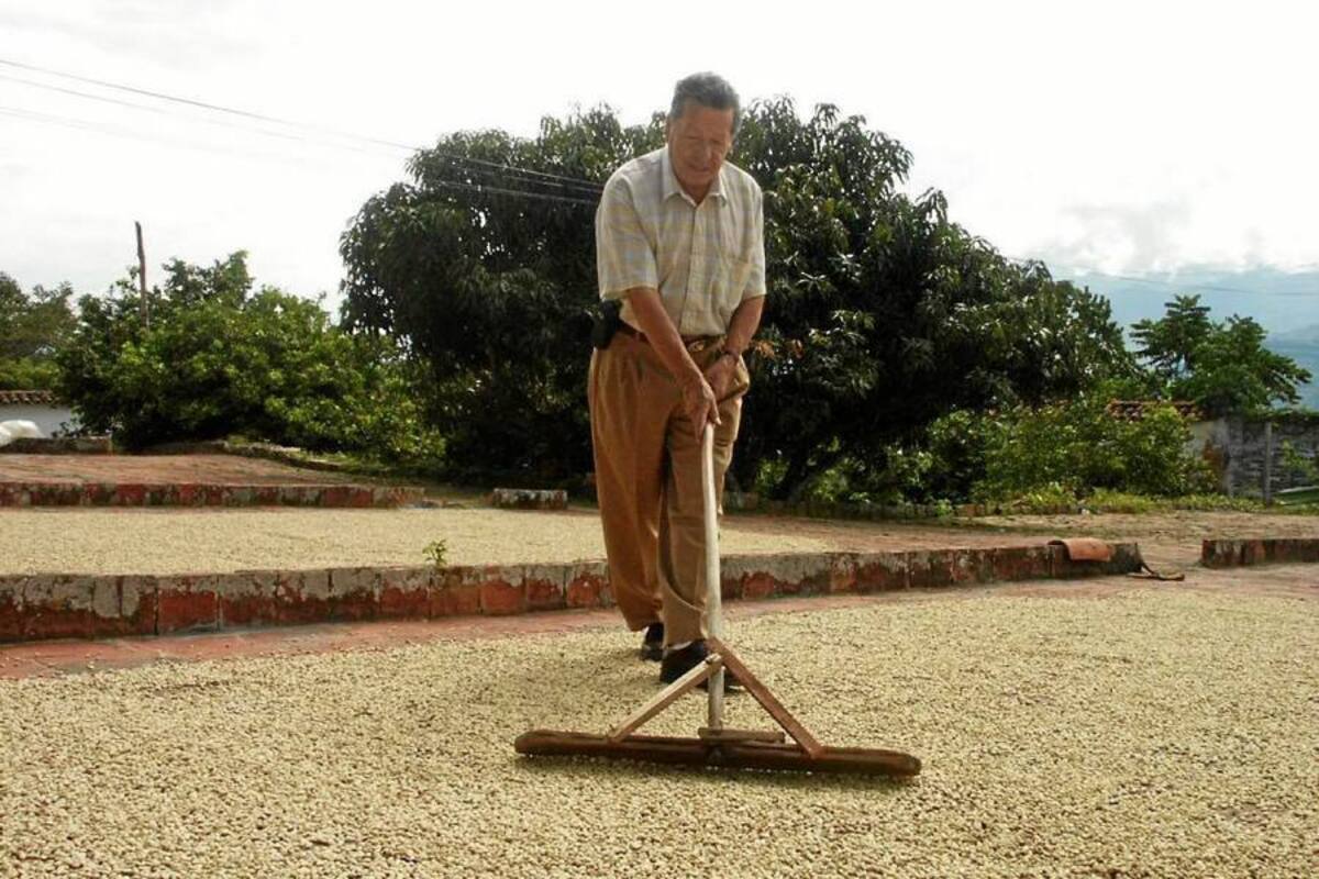 Valor de la cosecha de café subió $1,1 billones (Foto: Archivo/VANGUARDIA LIBERAL)
