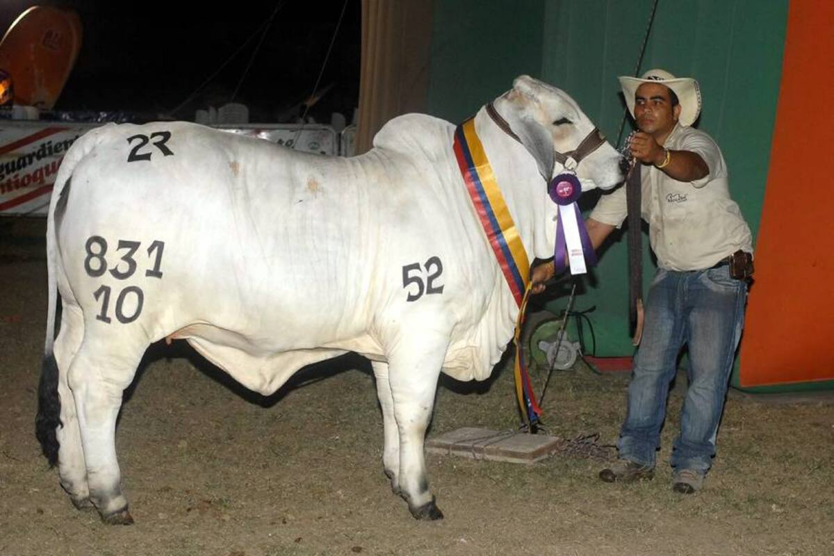 Gran Campeona tuvo su “Alivio”